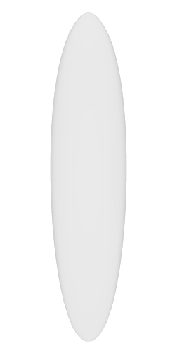 the shin